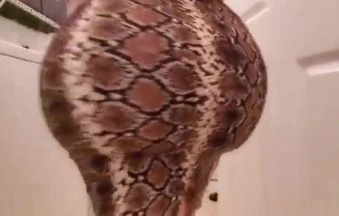 سكس خديجة اليافعي